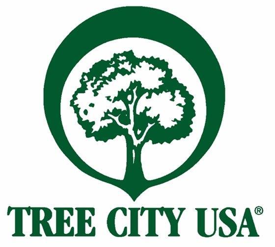 Mesquite named a 2015 Tree City USA by the Arbor Day Foundation Mesquite has been named a 2015 Tree City USA by the Arbor Day Foundation.