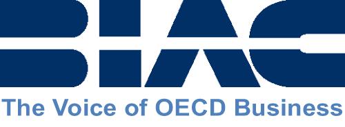 March 2013 BIAC Thought Starter A Proactive Investment Agenda The creation of the OECD Working Party on Responsible Business Conduct represents an opportunity for the Investment Committee and its