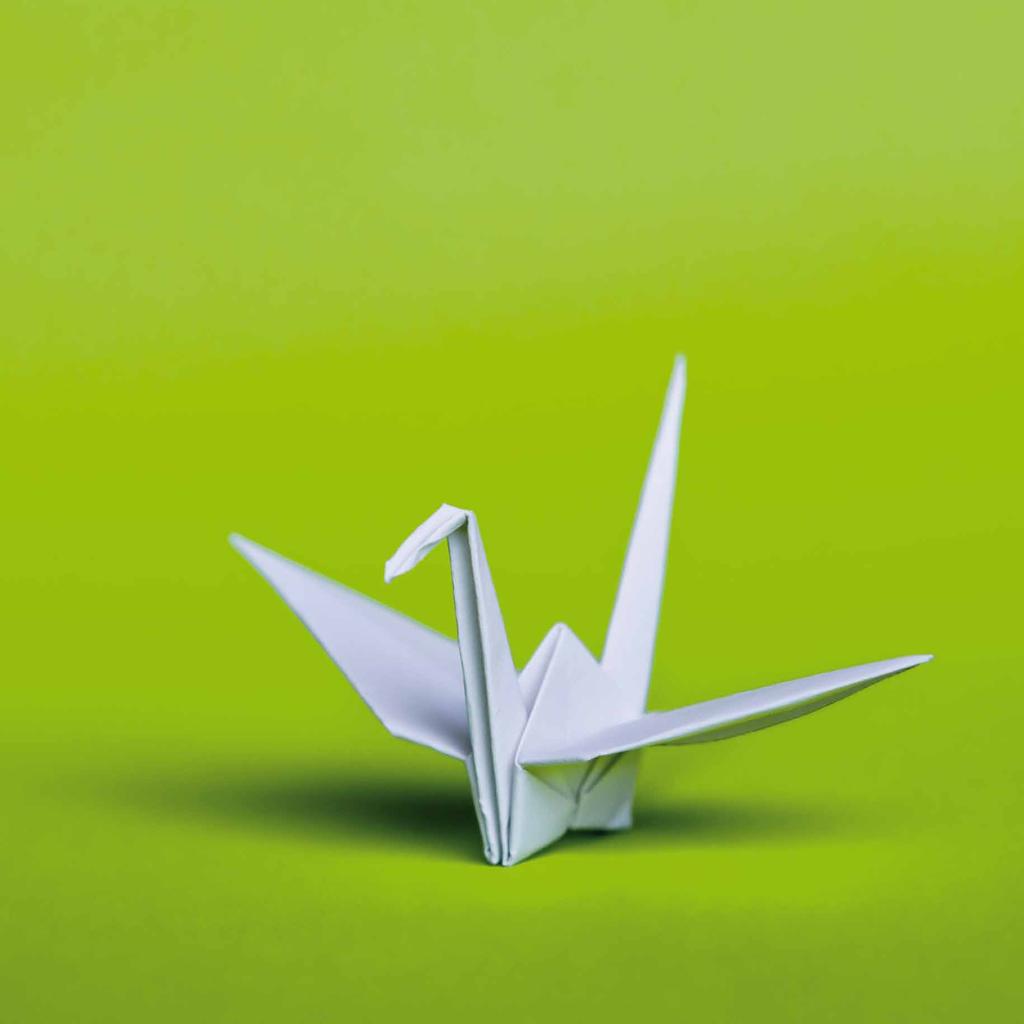 The choice of the origami theme for EFA s 2013 Overview illustrates our agility, expertise and know-how.
