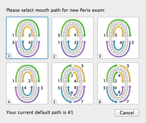 16 Viive 5.2 Charting Perio Information Viive includes a Perio Chart tool you can use to record information from the patient s periodontal exam. To chart periodontal information for a patient 1.