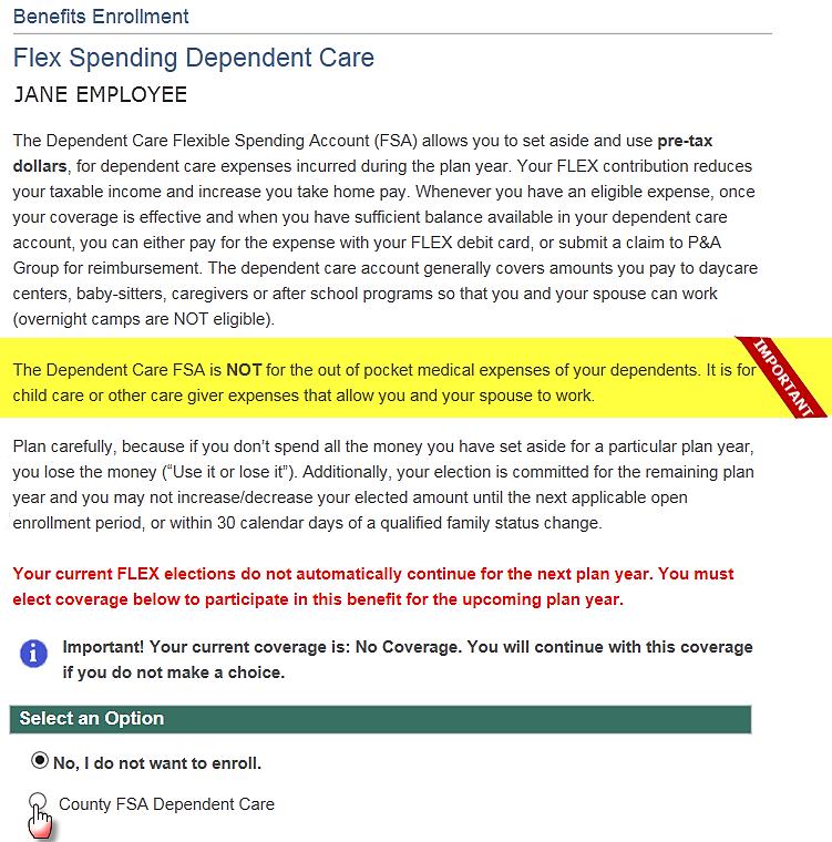 FLEX SPENDING DEPENDENT CARE The Flexible Spending Dependent Care covers money you pay to daycare centers, babysitters, after school programs, day camp programs and eldercare facilities.