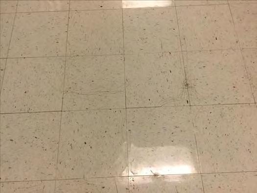 C3020 - Floor Finishes Location: Distress: Category: Priority: Correction: Qty: Unit of Measure: Estimate: Assessor Name: Date Created: Office Damaged Deferred Maintenance 3 - Necessary/Not Yet