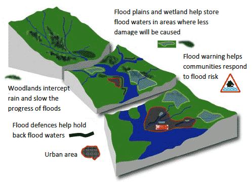 Flood Risk Management Planning A catchment approach is fundamental to understanding flood risk and the most sustainable solutions