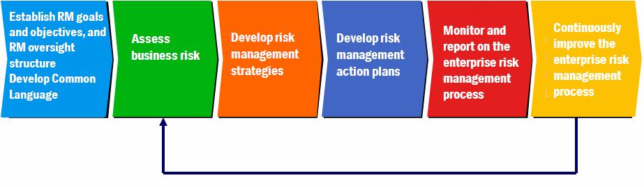 D. ERM Goals and Objectives To effectively realize DMCIHI s risk management vision, ERM shall: 1.