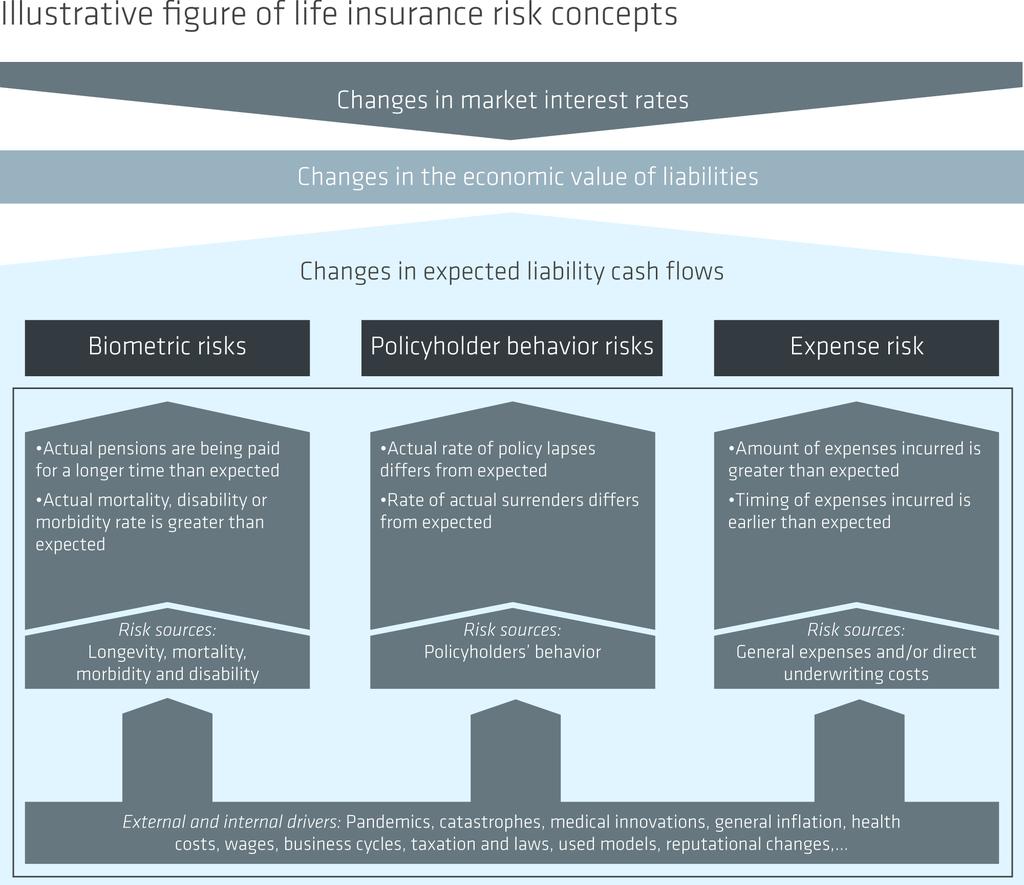 Risk Management / Underwriting Risks Life Insurance Underwriting Risks Life insurance risks encompass underwriting risk and discount rate risk in technical provisions.