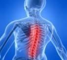 to cure physical disorders caused by damage to spinal cord