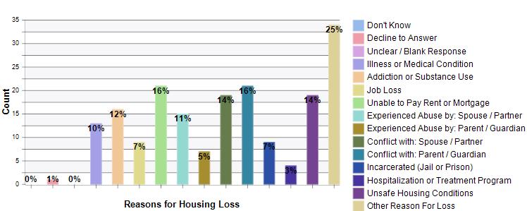 13 Reasons for Housing Loss N % Answered Illness or Medical Condition Addiction or Substance Use Job Loss Unable to Pay Rent or Mortgage Experienced Abuse by: Spouse / Partner Experienced Abuse by: