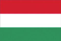 Hungary EU value added in the exports of Hungary C.1 by exporting sector D.1 by factor* Primary 2% 3% 2% Manufactures 51% 68% 57% Services 47% 29% 41% Capital comp. 45% 46% 39% Low skill comp.