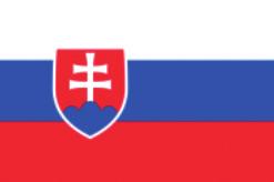 Slovakia EU value added in the exports of Slovakia C.1 by exporting sector D.1 by factor* Primary 1% 2% 2% Manufactures 44% 60% 57% Services 55% 39% 41% Capital comp. 49% 50% 39% Low skill comp.