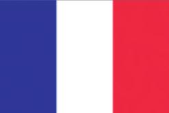 France EU value added in the exports of France C.1 by exporting sector D.1 by factor* Primary 2% 2% 2% Manufactures 65% 55% 57% Services 34% 42% 41% Capital comp. 38% 34% 39% Low skill comp.