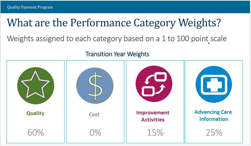 Performance Category Weights The weights assigned to each category are based on 1 to 100 points The overall MIPS score is a number of points calculated by