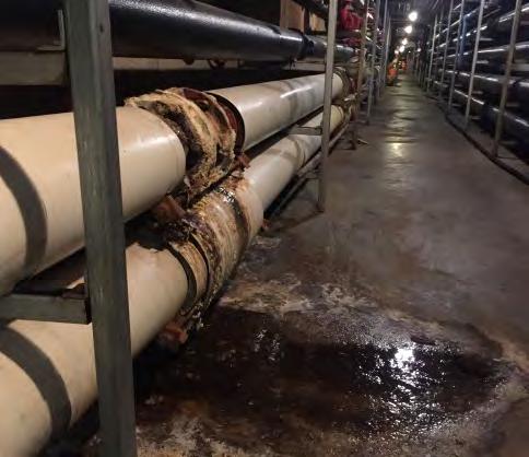 CIP ID# A15 Hot Water Piping Improvements START DATE: 2019 COMPLETION DATE: 2019 PROJECT TYPE LOCATION Plant Improvements Hot Water System Nine Springs Wastewater Treatment Plant DESCRIPTION