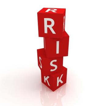 include relevant risk disclosures in its offering memorandum, including risk disclosures