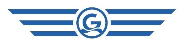 Globus Maritime Limited Reports Financial Results for the Year Ended December 31, 2007 Athens, Greece, March 3, 2008.