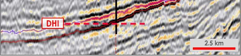 (DHI) on seismic data: Amplitude Variations