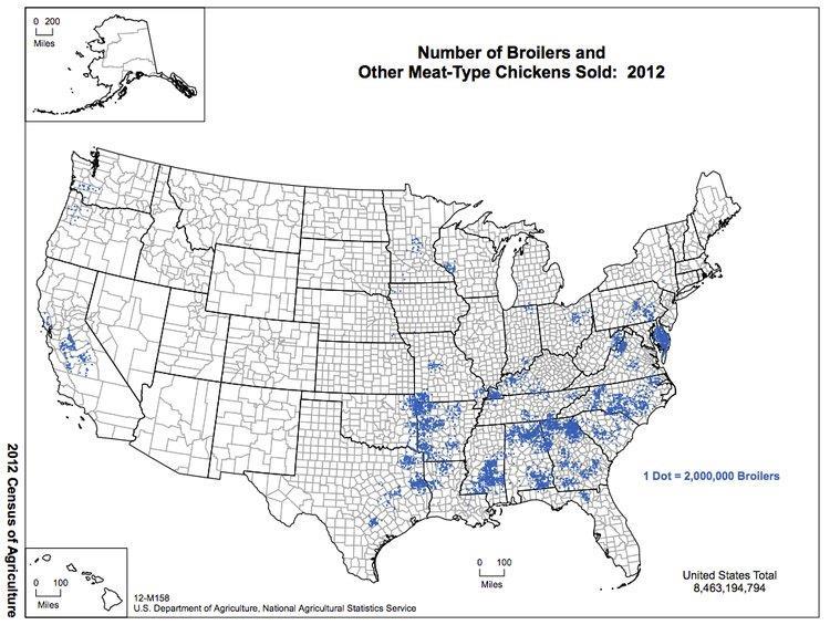 4 14. The map illustrates the location of major broiler (chickens raised for meat) operations in the U.S.