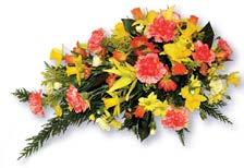 memorials, printed service sheets, catering or any other aspect of your funeral wishes. 2.