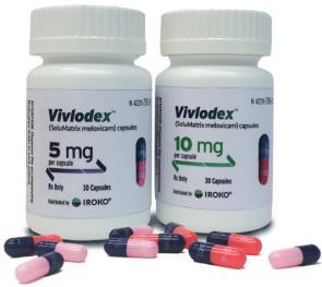 SoluMatrix Products Product VIVLODEX (meloxicam) Indication