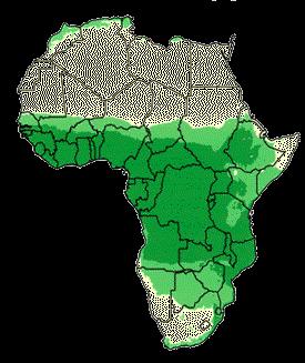 2. The green opportunity in African economies Africa is the foundation of the