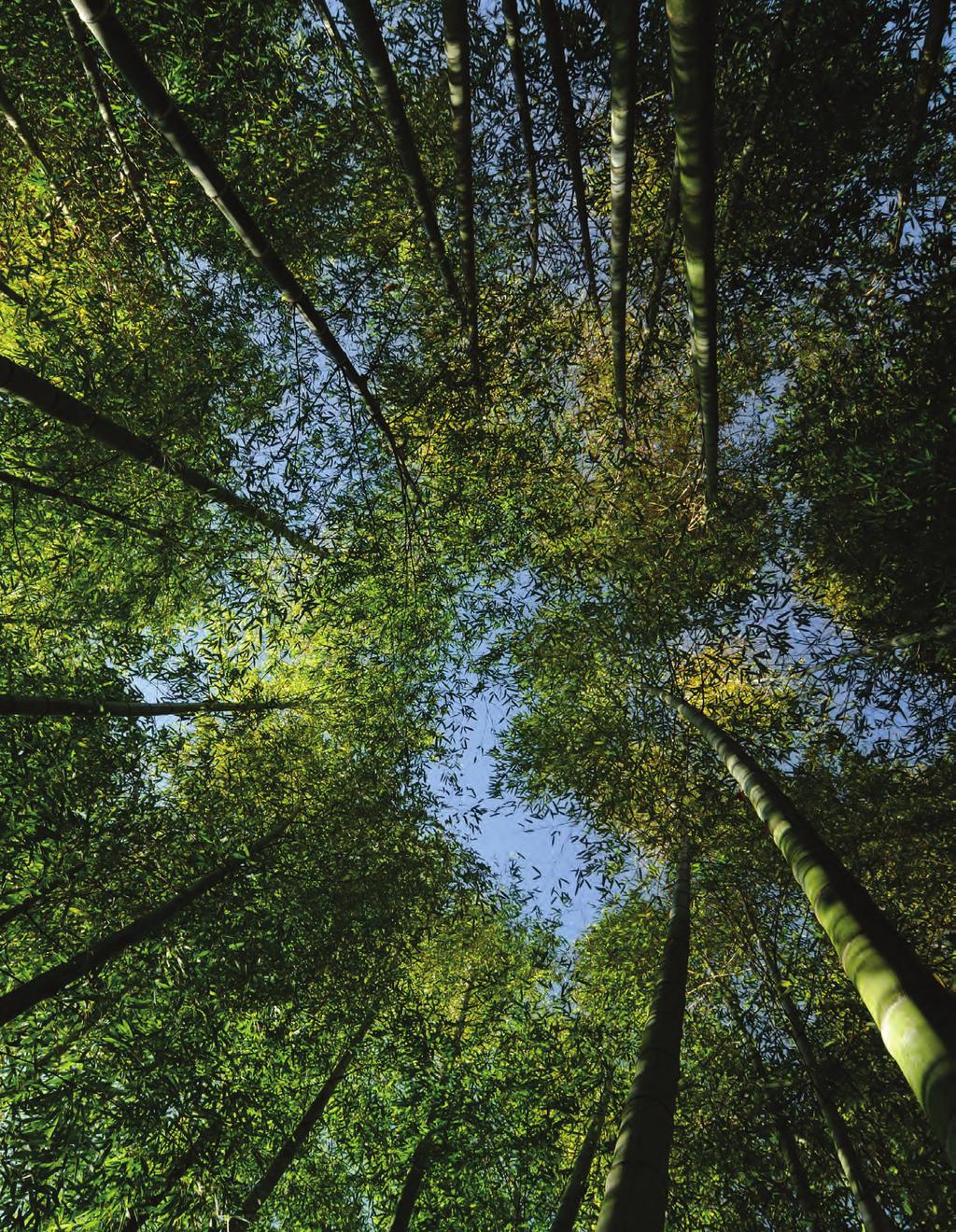 Sustainable Investing at OMERS OMERS believes that the consideration of environmental, social and governance (ESG) factors is consistent with its objective to meet long-term payment obligations to