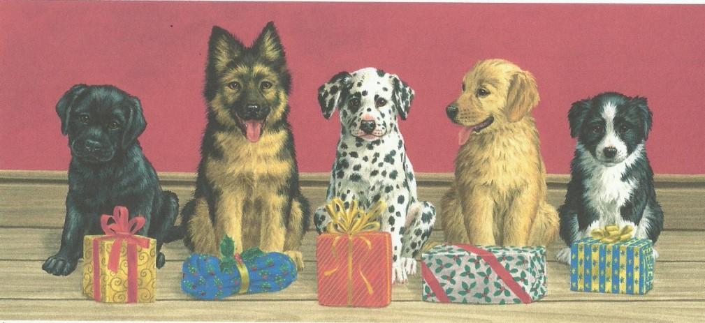 Christmas Cards Pack of