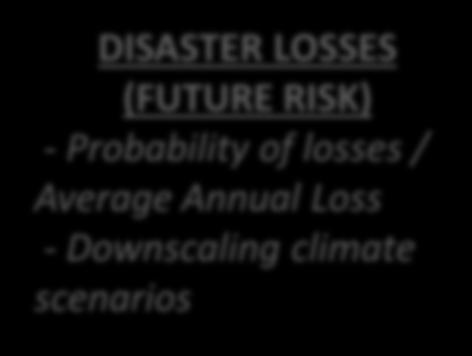 DISASTER LOSSES (PAST EVENTS) Loss