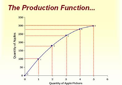 The production function becomes flatter as the number of workers rises The Value of the Marginal Product of Labour The value of the marginal product is the marginal product of the input multiplied by