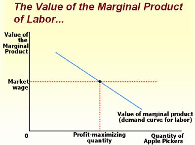 VMPL = MPL X P Value of the marginal product To maximize profit, the competitive, profitmaximizing firm hires workers up to the point where the value of marginal product of labor equals the wage.