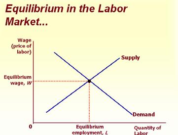 Important lesson: Any event that changes the supply or demand for labor must change the equilibrium wage and the value of the marginal product by the same amount, because these must be equal.