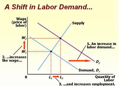 A shift in labour demand An increase in the demand for labor : o Makes it profitable for firms to hire more workers. o Puts upward pressure on wages.