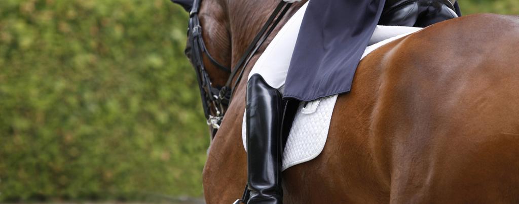 Please read this page before completing the claim form Personal Accident Claim Form Equestrian Australia National Insurance Programme Thank you for your claim form request.