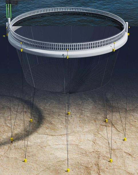 Blue Farm concept The farm is based on concrete technology and has a diameter of 130 meters and the ring structure has a total height of 16 meters.