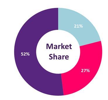 Overview of Irish PMI Market 45% % Population