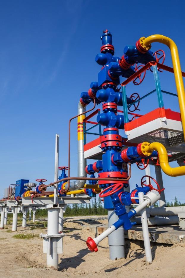 Acquisition of 24.99% stake in Yuzhno Russkoye gas field OMV acquires 24.99% participation in Yuzhno Russkoye natural gas field from Uniper SE The purchase price amounts to USD 1.85 bn (EUR 1.