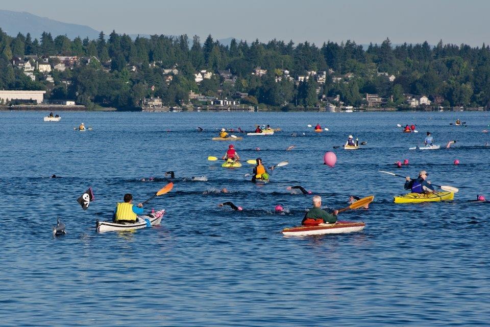 We are once again, planning our summer's end activities. Traditions in our family include river rafting, berry picking, mountain biking, flyfishing, and our annual swim across Lake Washington.
