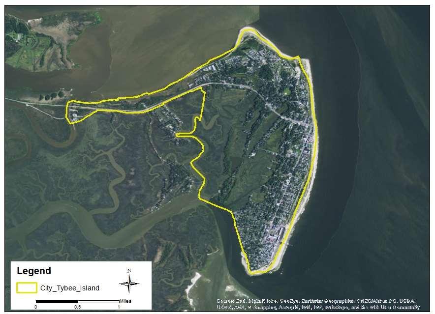Mapping Tybee s open space