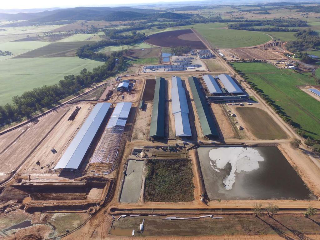 Value Added Supply Chain Dairy Milk Collectively the combined Moxey Farm and Perich Group s Leppington Pastoral Company dairy