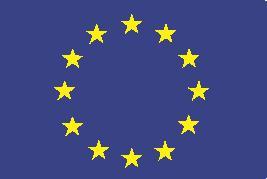 EUROPEAN COMMISSION EUROSTAT Directorate D: Government Finance Statistics (GFS) Unit D.