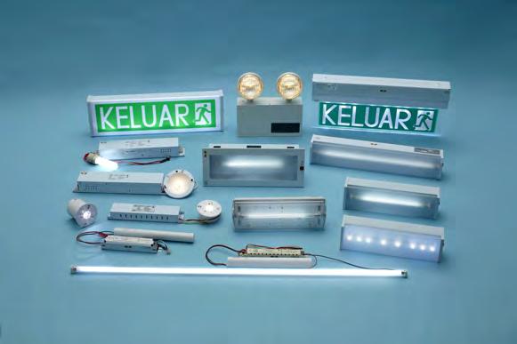 The types of products sold under the trading business include emergency lighting equipment and printing materials, primarily pre-sensitised plates. These products are made for the mass market.