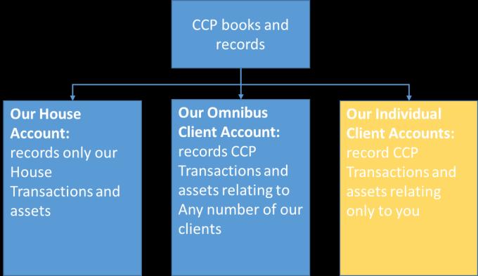the same Omnibus Client Account can be used in relation to any CCP Transaction (whether it relates to you or to any of our other clients) credited to that Omnibus Client Account.