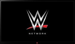 in new model 2015+ New Media Model WWE