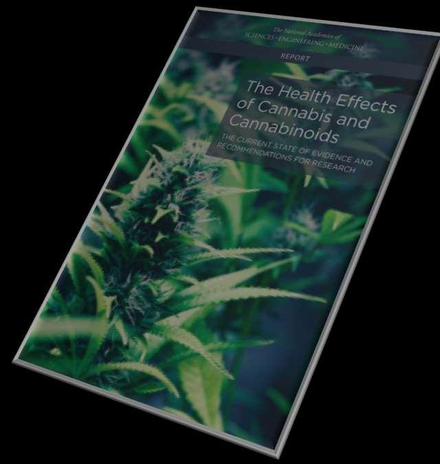 Medical Marijuana Comp Caught in the