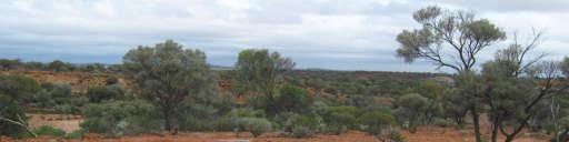 LAVERTON GOLD PROJECT, WESTERN AUSTRALIA Work on the tenement during the quarter included obligatory rehabilitation arising from the 2010 drilling