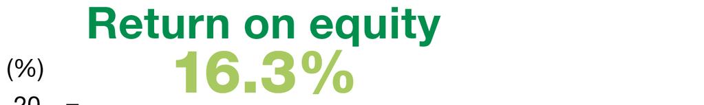 Return on equity (ROE) of 16.