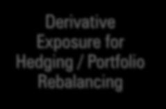 In-House P/BV Model Derivative Exposure for