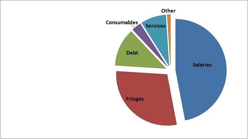 Expenditures Salaries 48% Fringes 30% Debt 11%