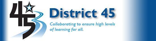DUPAGE COUNTY SCHOOL DISTRICT 45 ANNUAL
