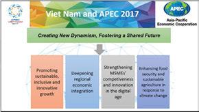Viet Nam 2017 APEC 2017 SOM CHAIR Mr.