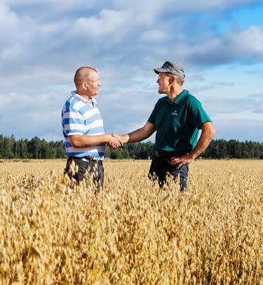 Under the new operating model, the venture will offer Finnish growers a Finnishowned partner for grain and oilseed trade and the use and procurement of agricultural production inputs.
