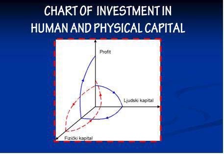 Picture 2. Chart of investment in human and physical capital Source: [9, str. 252.].